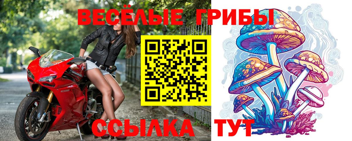 Елизово  Псилоцибиновые грибы Psilocybine cubensis  Псилоцибиновые грибы Psilocybe  Вход с VPN 
