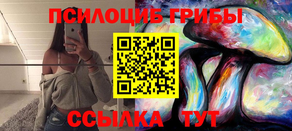 Галлюциногенные грибы Psilocybe Елизово